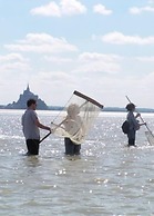 Entre Mont St Michel et Merveille