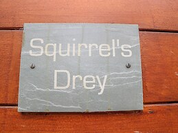 Squirrels Drey
