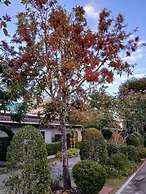 Viphuanan resort