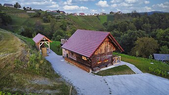 Vineyard cottage Vinska grajska kašča