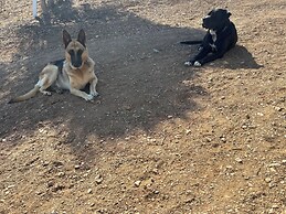 Zeus kır evi