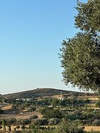 Zeus kır evi