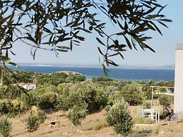 Zeus kır evi
