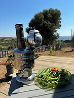 Zeus kır evi