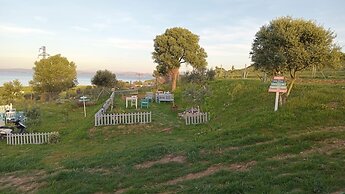 Zeus kır evi