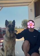 Zeus kır evi