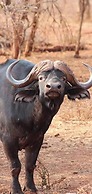 Phakela Private Lodge