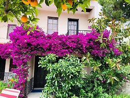 Dalyan Villas Sun Nature and History