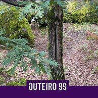 Casa Outeiro 99 Paredes de Coura