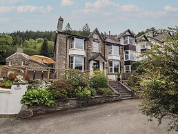 Bron Celyn