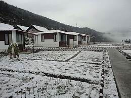 Buransh Heli Resort