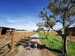 Quinta do Louredo