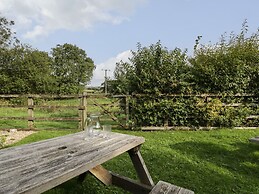 The Paddock