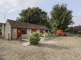The Paddock