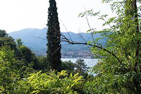 La Colomba