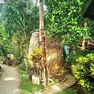 Camotes hidden huts-rooms-bar-restaurant