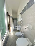 B&B Tigrillo
