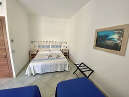 B&B Tigrillo