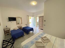 B&B Tigrillo