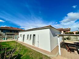 B&B Tigrillo
