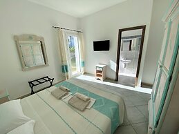 B&B Tigrillo
