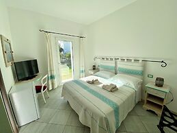 B&B Tigrillo