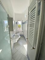 B&B Tigrillo