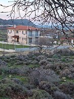 Peromitera Imbros