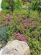 Peromitera Imbros