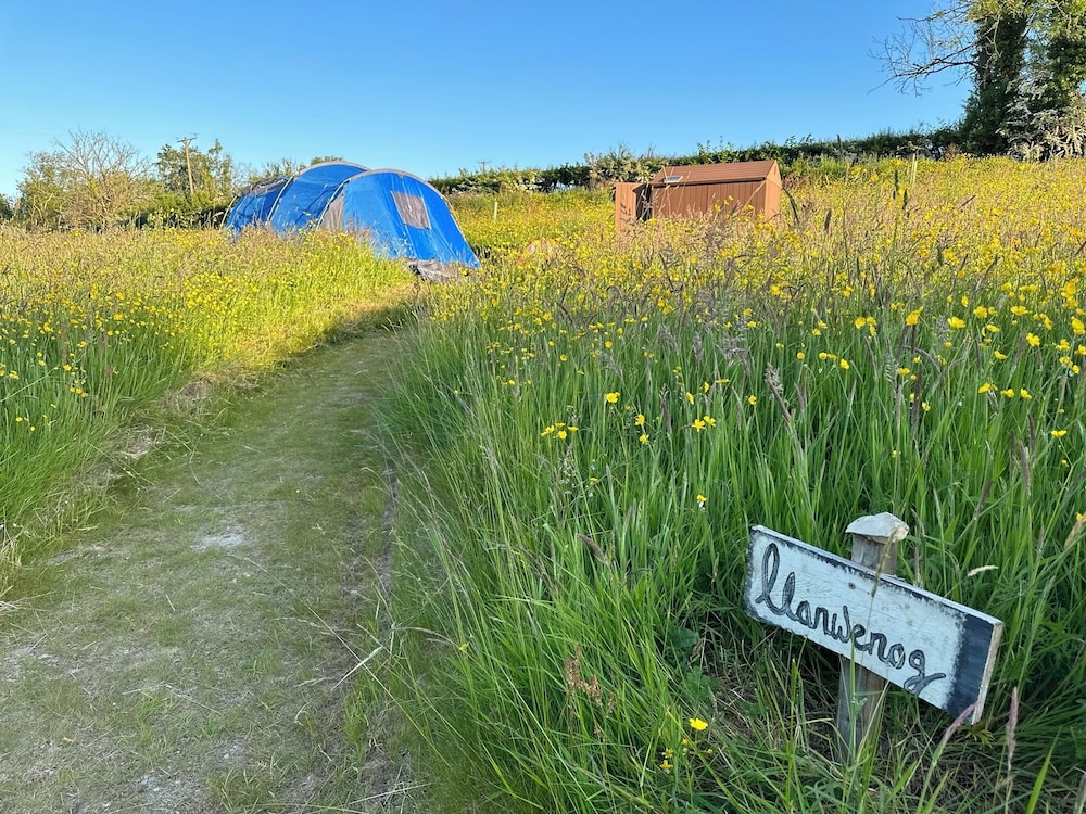Frowen Fields