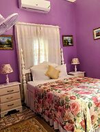 Pink Hibiscus Villa