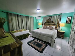 Pink Hibiscus Villa