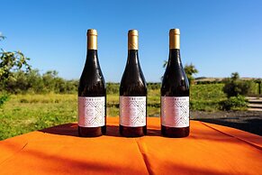 Villa Podere 109 - BioWine