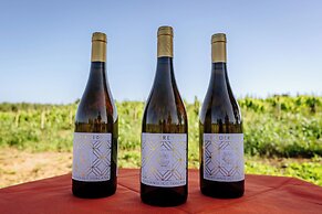 Villa Podere 109 - BioWine