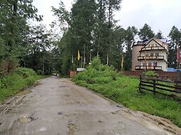 Ziro Valley Resort
