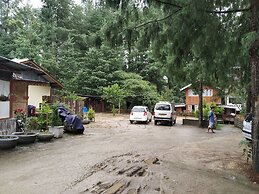 Ziro Valley Resort