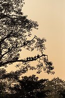 Sanctuary Chitwan National Park