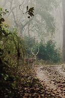 Sanctuary Chitwan National Park