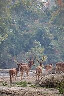 Sanctuary Chitwan National Park