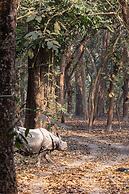 Sanctuary Chitwan National Park