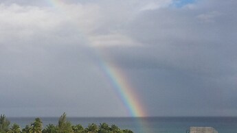 magic paradise