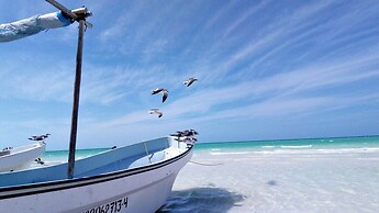 magic paradise