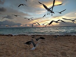 magic paradise