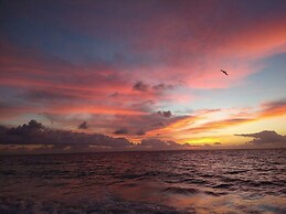 magic paradise