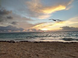 magic paradise