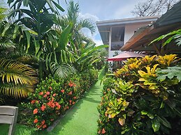 Hotel Ballena REY