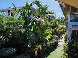 Hotel Ballena REY