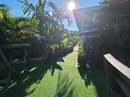 Hotel Ballena REY