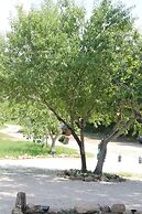 Tenuta Bellelli