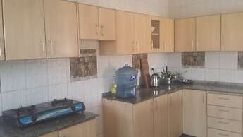 EstaCode Suites- Classic